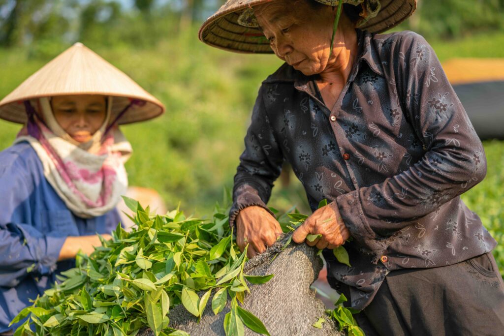 Food systems across Asia and the Pacific are at a critical turning point, and the scale of action is accelerating